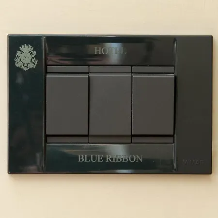 Blue Ribbon 3* Vercelli