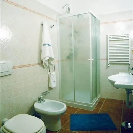 Hotel Blue Ribbon 3*