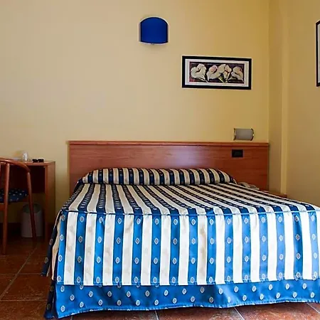 Blue Ribbon Vercelli