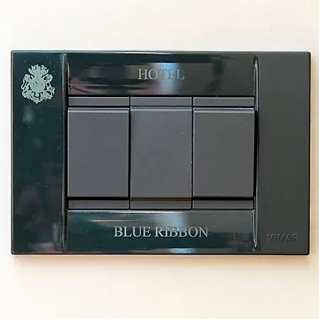 Blue Ribbon Otel 3*